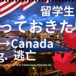 アメリカからカナダへIT人材が流出！その理由と日本の留学生への影響を考察